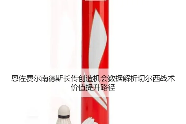 恩佐费尔南德斯长传创造机会数据解析切尔西战术价值提升路径