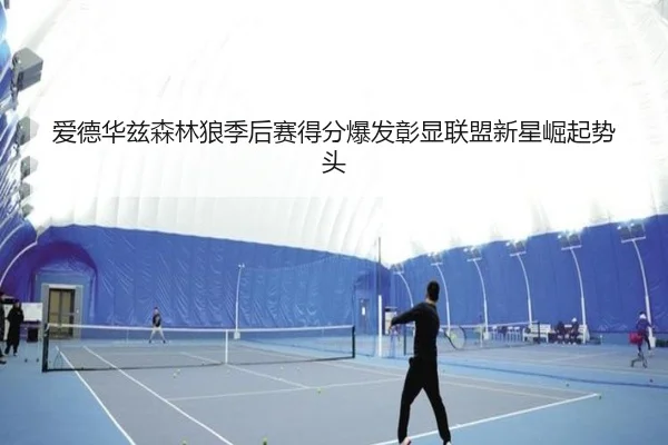 爱德华兹森林狼季后赛得分爆发彰显联盟新星崛起势头