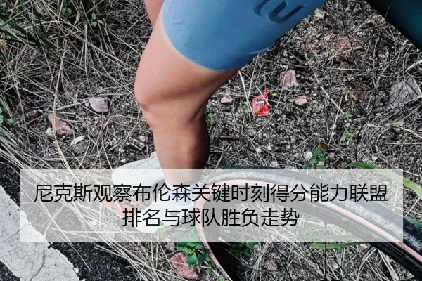 尼克斯观察布伦森关键时刻得分能力联盟排名与球队胜负走势